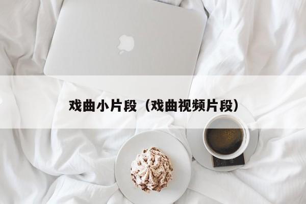 戏曲小片段（戏曲视频片段）