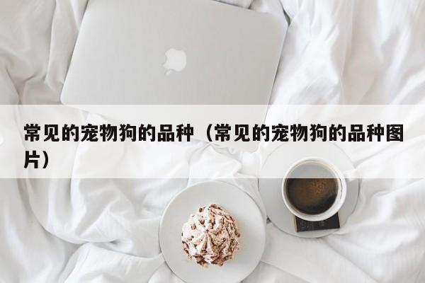 常见的宠物狗的品种（常见的宠物狗的品种图片）