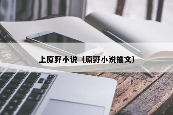 上原野小说（原野小说推文）