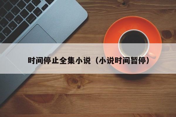 时间停止全集小说（小说时间暂停）