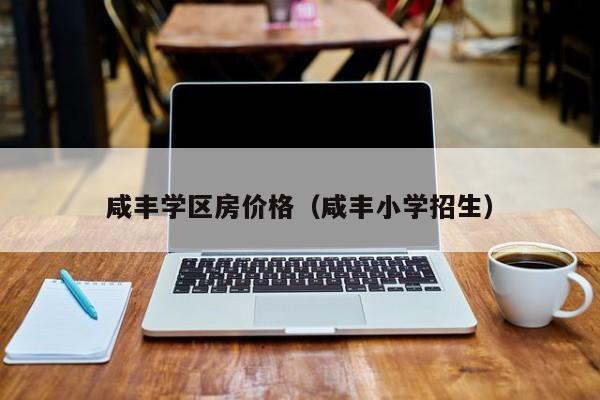 咸丰学区房价格（咸丰小学招生）
