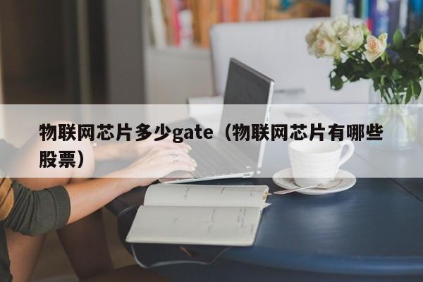 物联网芯片多少gate（物联网芯片有哪些股票）