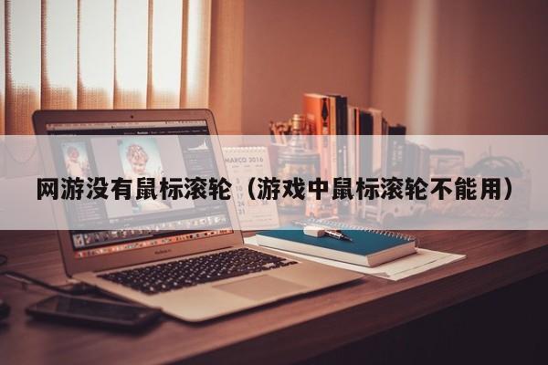 网游没有鼠标滚轮（游戏中鼠标滚轮不能用）