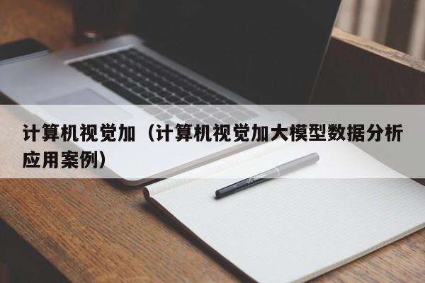 计算机视觉加（计算机视觉加大模型数据分析应用案例）