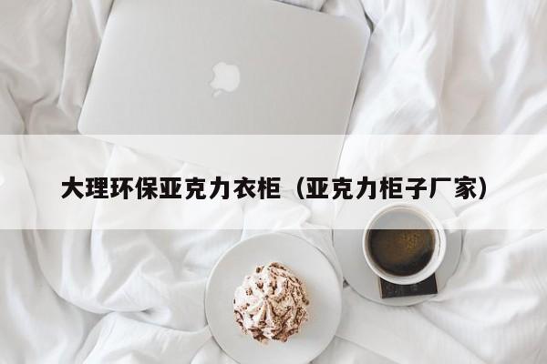 大理环保亚克力衣柜（亚克力柜子厂家）