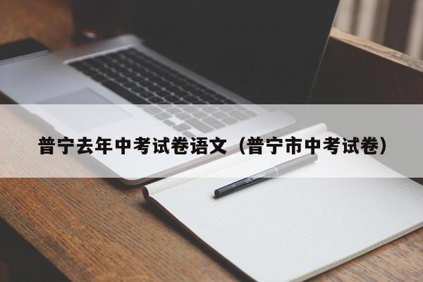普宁去年中考试卷语文（普宁市中考试卷）