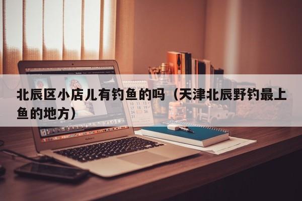 北辰区小店儿有钓鱼的吗（天津北辰野钓最上鱼的地方）