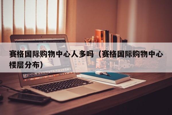 赛格国际购物中心人多吗（赛格国际购物中心楼层分布）