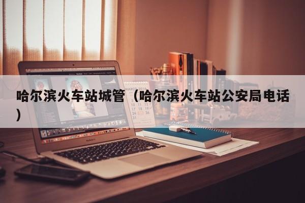 哈尔滨火车站城管（哈尔滨火车站公安局电话）
