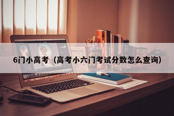 6门小高考（高考小六门考试分数怎么查询）