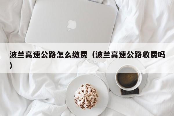 波兰高速公路怎么缴费（波兰高速公路收费吗）
