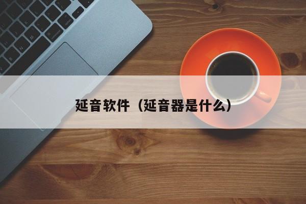 延音软件（延音器是什么）