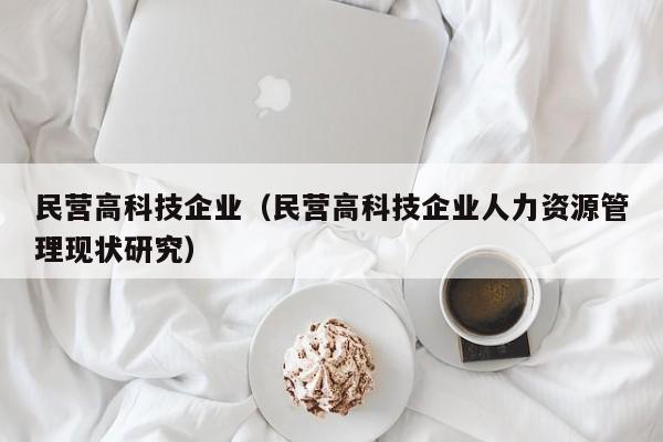 民营高科技企业（民营高科技企业人力资源管理现状研究）