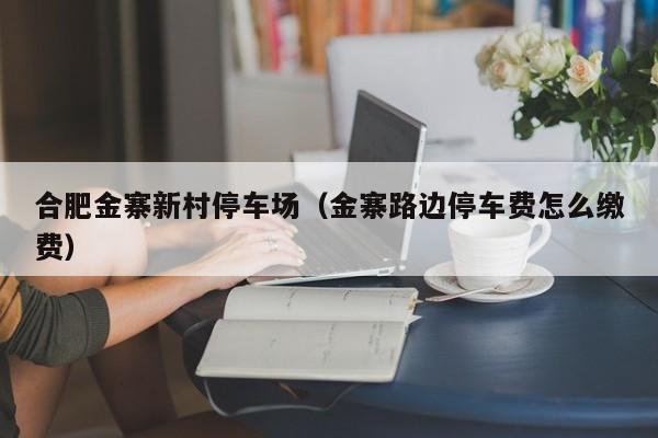 合肥金寨新村停车场（金寨路边停车费怎么缴费）
