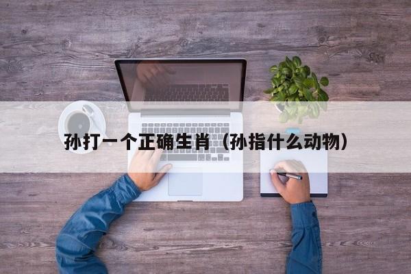 孙打一个正确生肖（孙指什么动物）