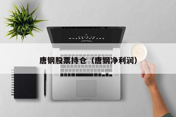 唐钢股票持仓（唐钢净利润）