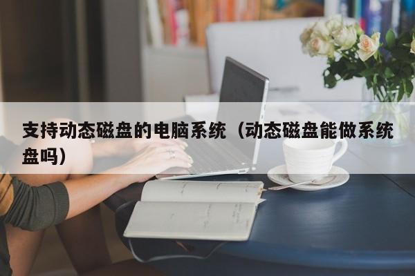 支持动态磁盘的电脑系统（动态磁盘能做系统盘吗）