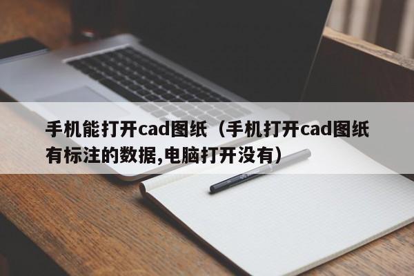 手机能打开cad图纸（手机打开cad图纸有标注的数据,电脑打开没有）