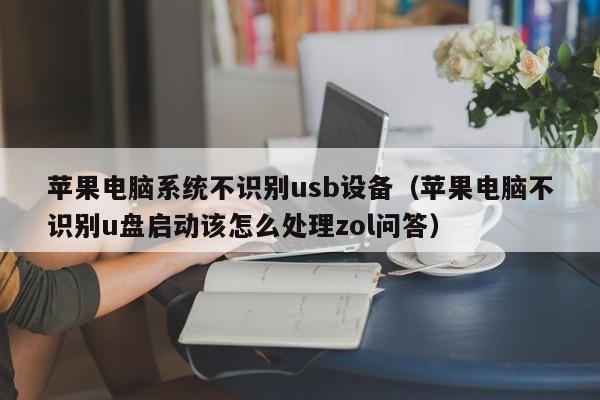 苹果电脑系统不识别usb设备（苹果电脑不识别u盘启动该怎么处理zol问答）