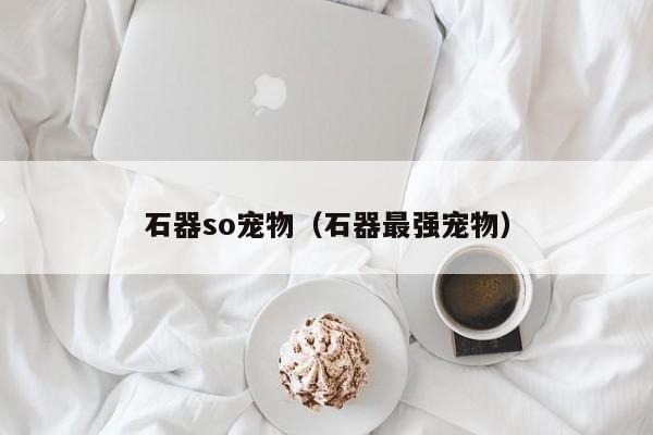 石器so宠物（石器最强宠物）