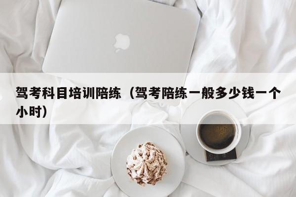 驾考科目培训陪练（驾考陪练一般多少钱一个小时）