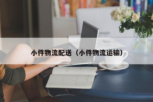 小件物流配送（小件物流运输）