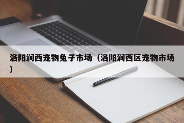 洛阳涧西宠物兔子市场（洛阳涧西区宠物市场）