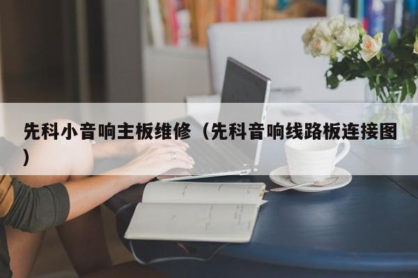 先科小音响主板维修（先科音响线路板连接图）