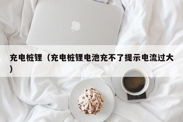 充电桩锂（充电桩锂电池充不了提示电流过大）