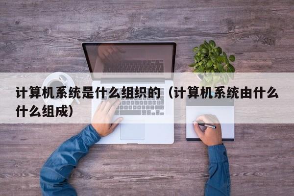 计算机系统是什么组织的（计算机系统由什么什么组成）