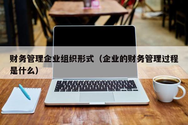 财务管理企业组织形式（企业的财务管理过程是什么）