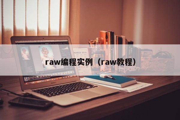 raw编程实例（raw教程）