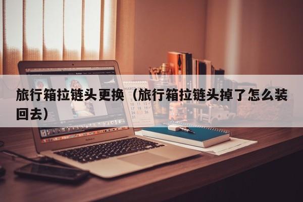 旅行箱拉链头更换（旅行箱拉链头掉了怎么装回去）