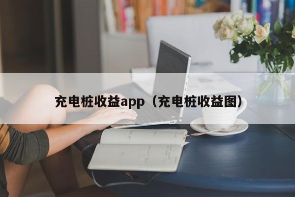 充电桩收益app（充电桩收益图）
