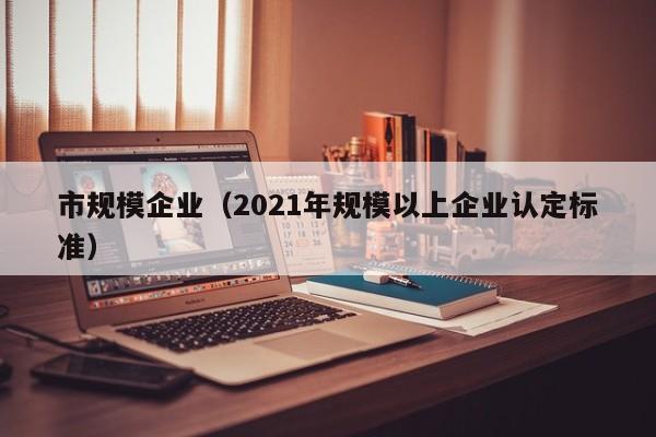 市规模企业(2021年规模以上企业认定标准)