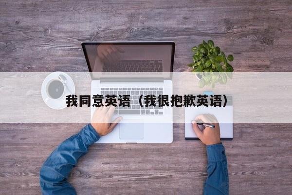 我同意英语(我很抱歉英语)