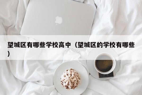 望城区有哪些学校高中(望城区的学校有哪些)