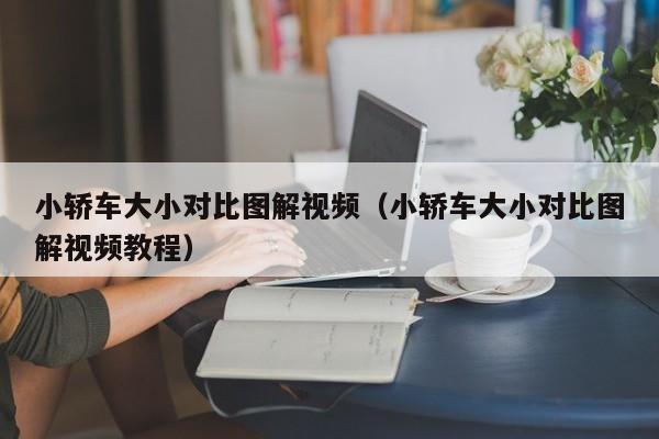 小轿车大小对比图解视频(小轿车大小对比图解视频教程)