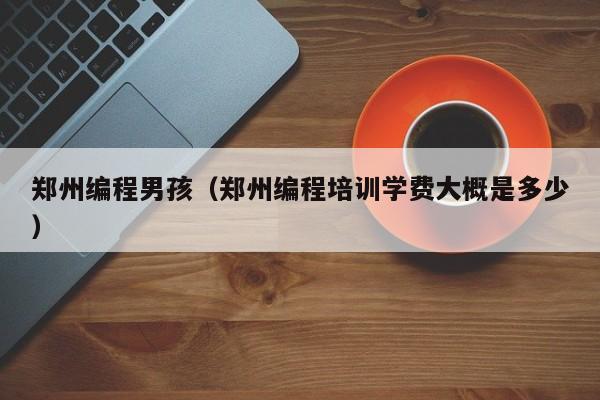 郑州编程男孩(郑州编程培训学费大概是多少)